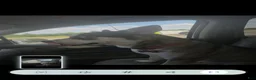 Pitsky dogs for sale: Pitsky 4 - Ad 7