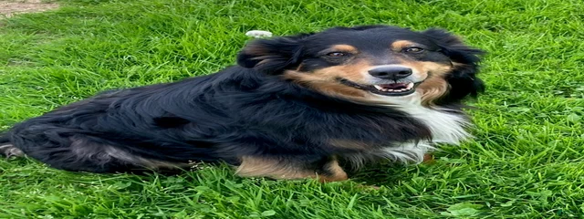 Boy