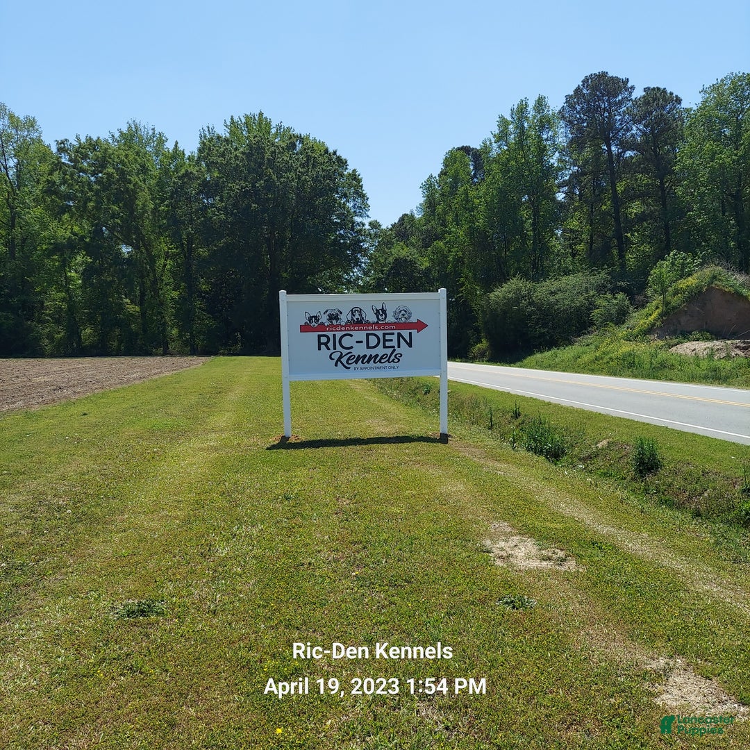 Gallery Image {{count}}