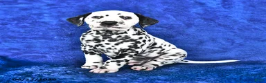 Marshall