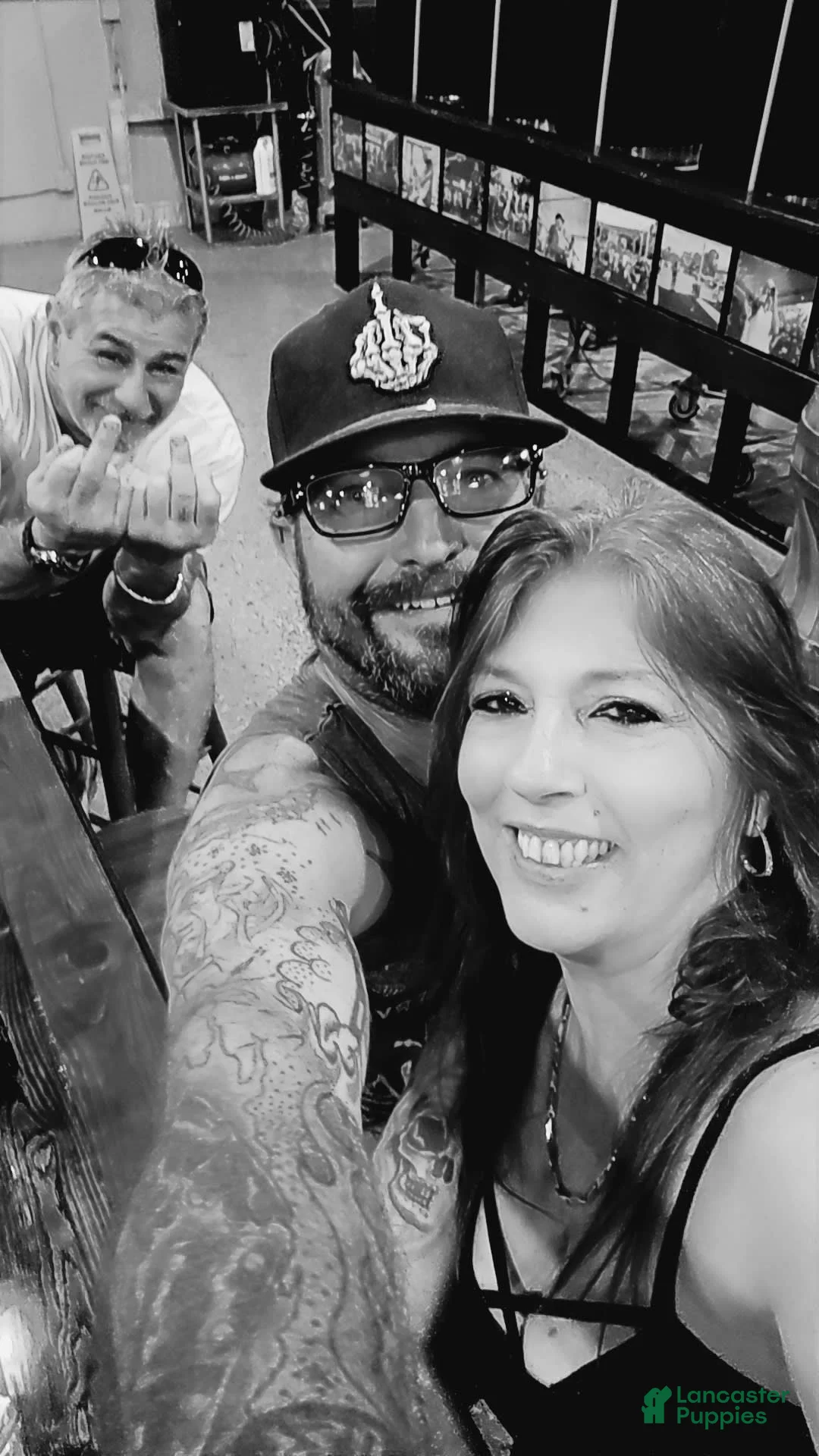 Gallery Image {{count}}