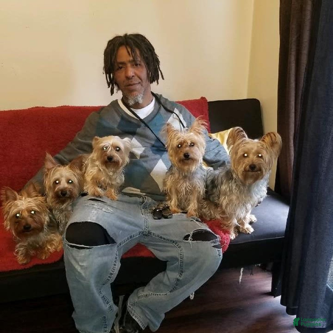 Gallery Image {{count}}