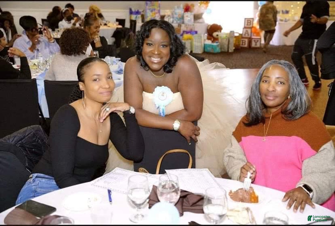 Gallery Image {{count}}