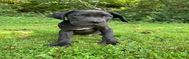 Titan