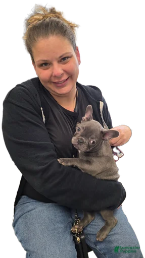 Gallery Image {{count}}