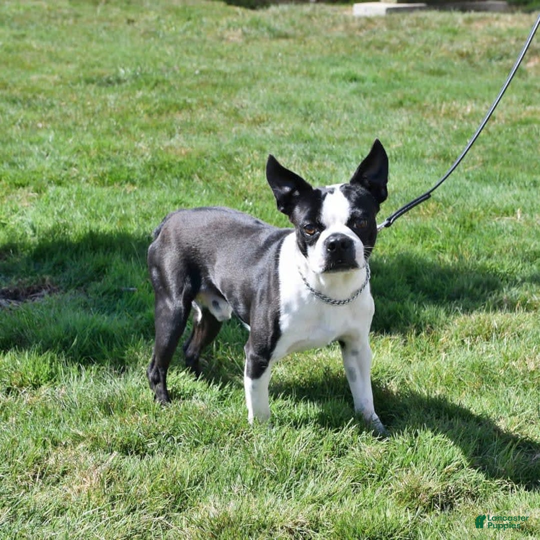 Gallery Image {{count}}