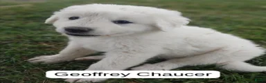 Geoffrey Chaucer