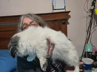 Mixed Breed dogs Mixed Breed Puppy 1 - Ad 23