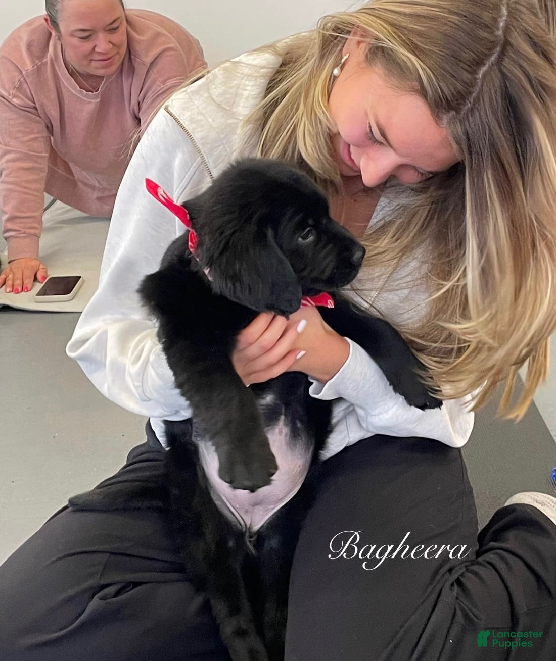 Mixed Breed dogs Bagheera - Ad 1