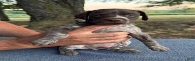 Boy 4