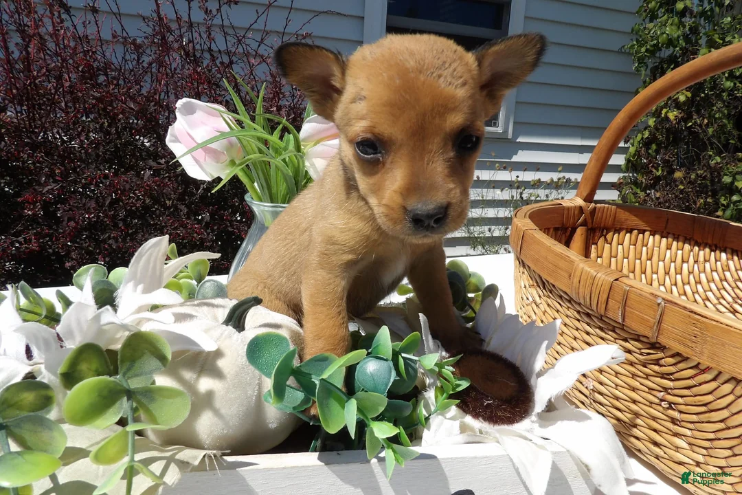 Gallery Image {{count}}