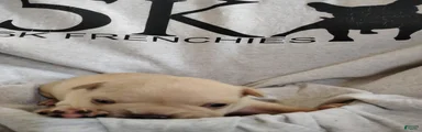 Boy 1 