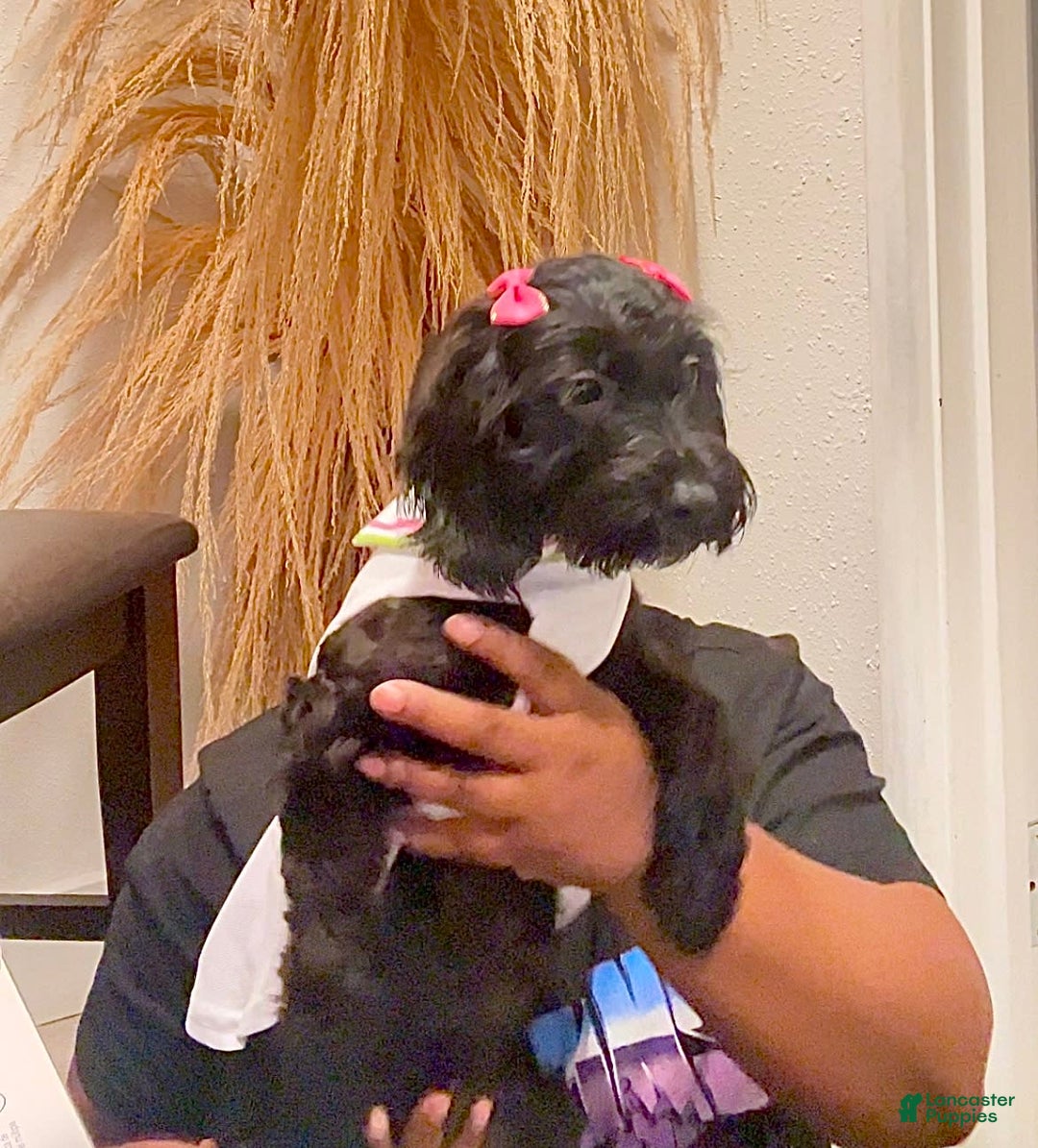 Gallery Image {{count}}