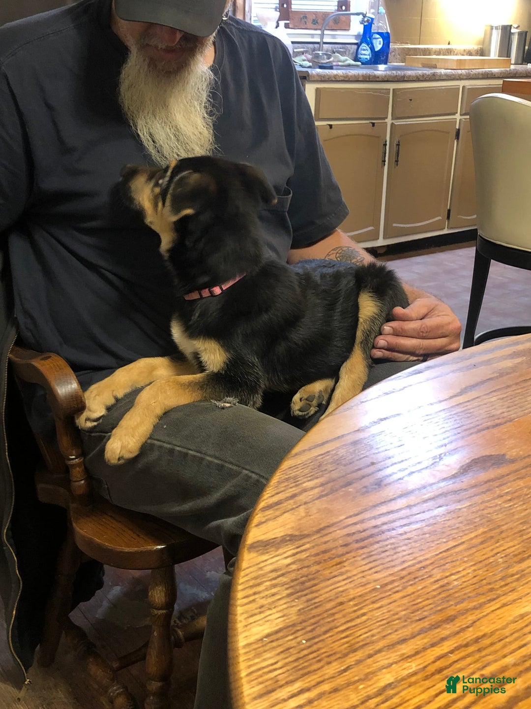 Gallery Image {{count}}