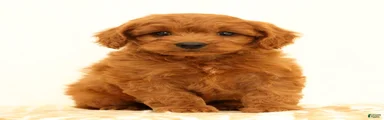 Klondike