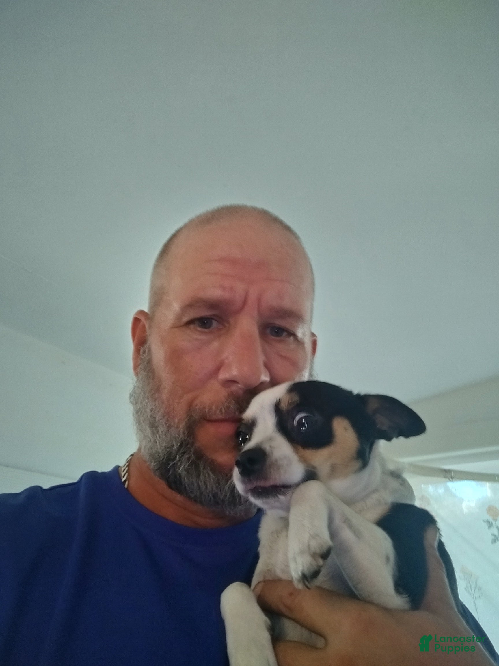 Paco