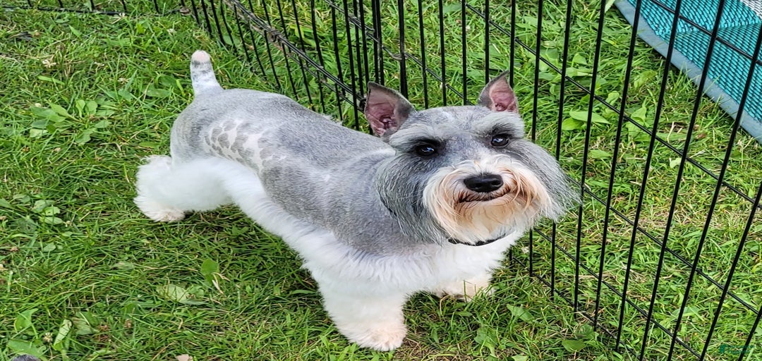 Gallery Image {{count}}