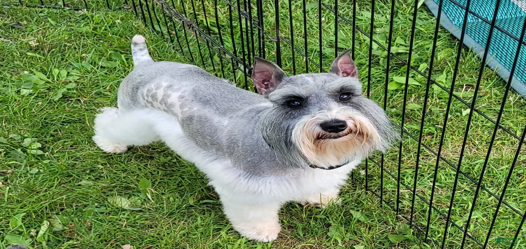 Gallery Image {{count}}