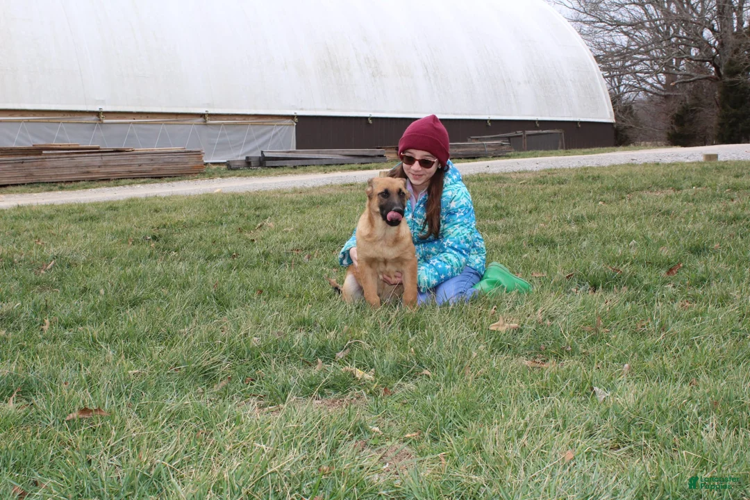 Gallery Image {{count}}