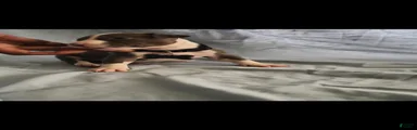 American Pit Bull Terrier 7
