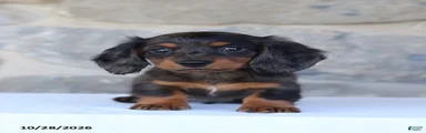Evan