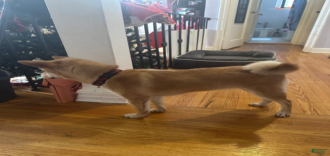 Gallery Image {{count}}