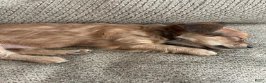 Eliza aka Za