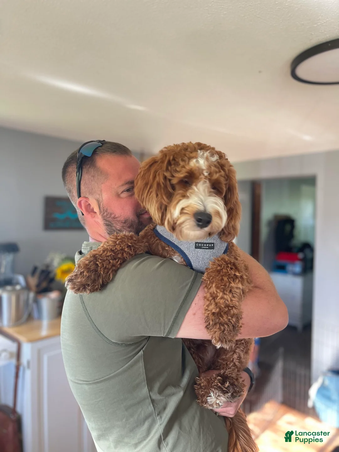 Gallery Image {{count}}