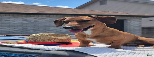 Copper