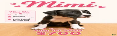 Mimi