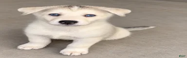 Channel 