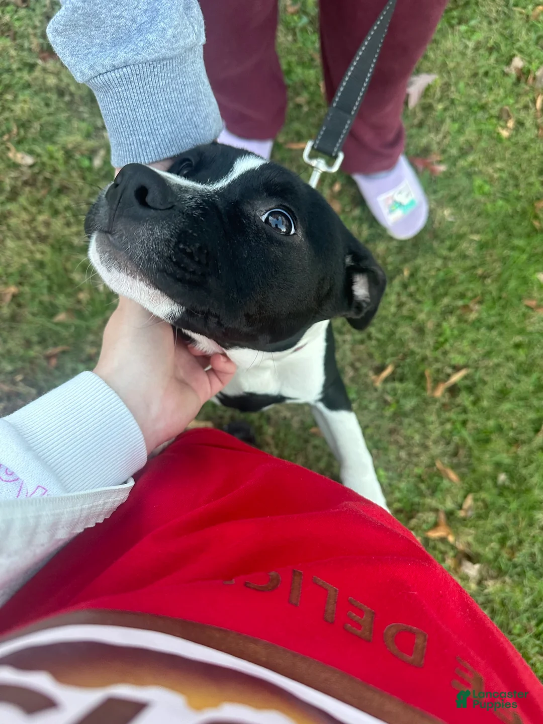 Gallery Image {{count}}