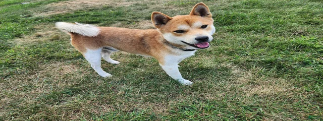 KITO