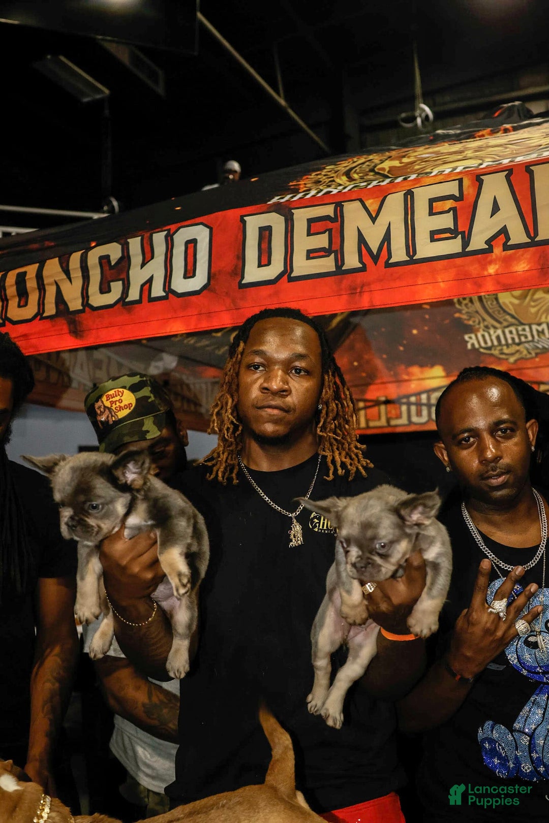 Gallery Image {{count}}