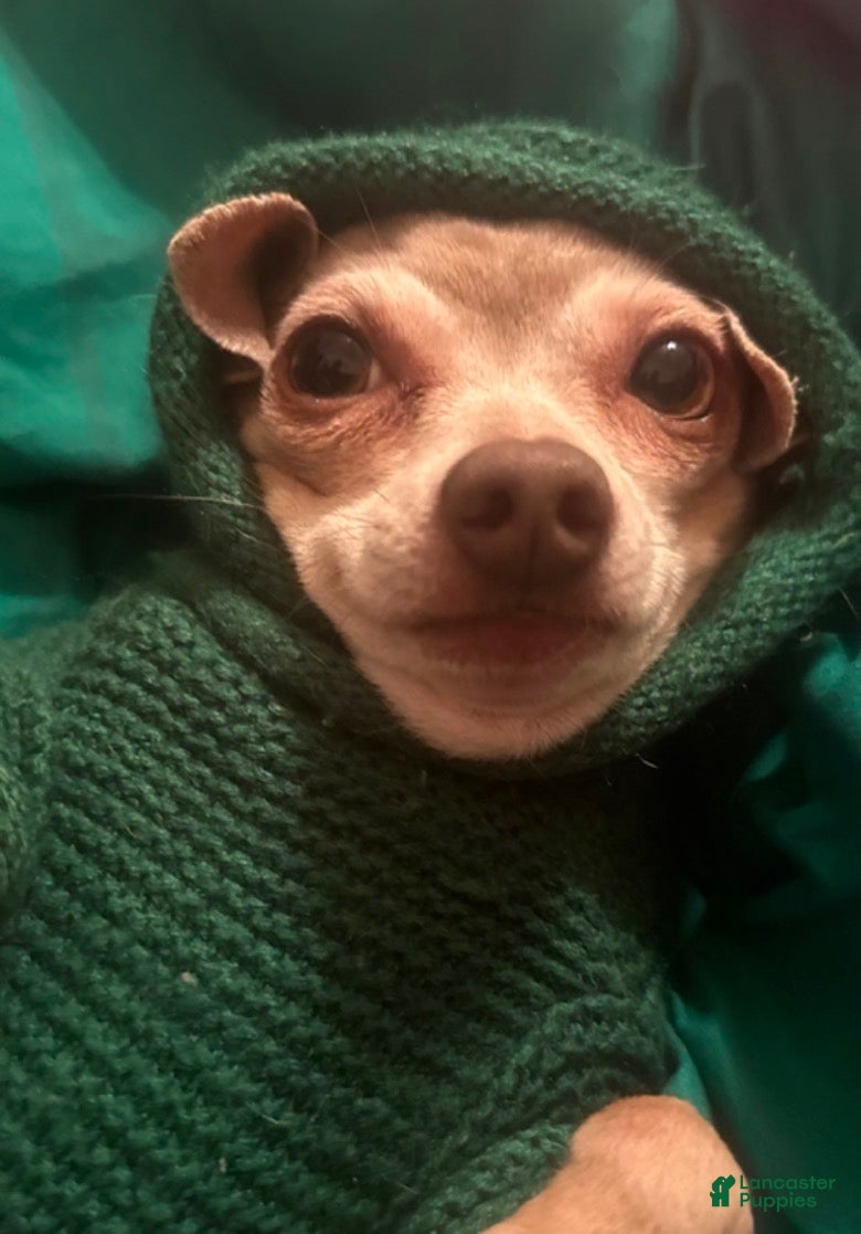 Melvin