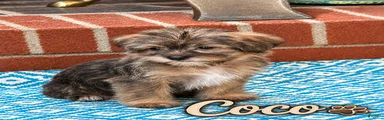 Coco