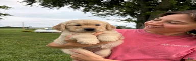 Karen