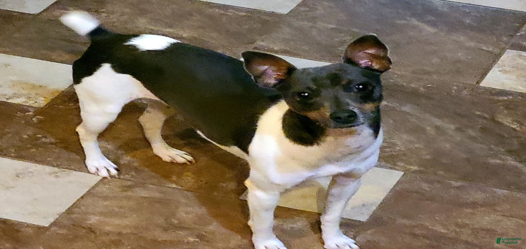 Gallery Image {{count}}