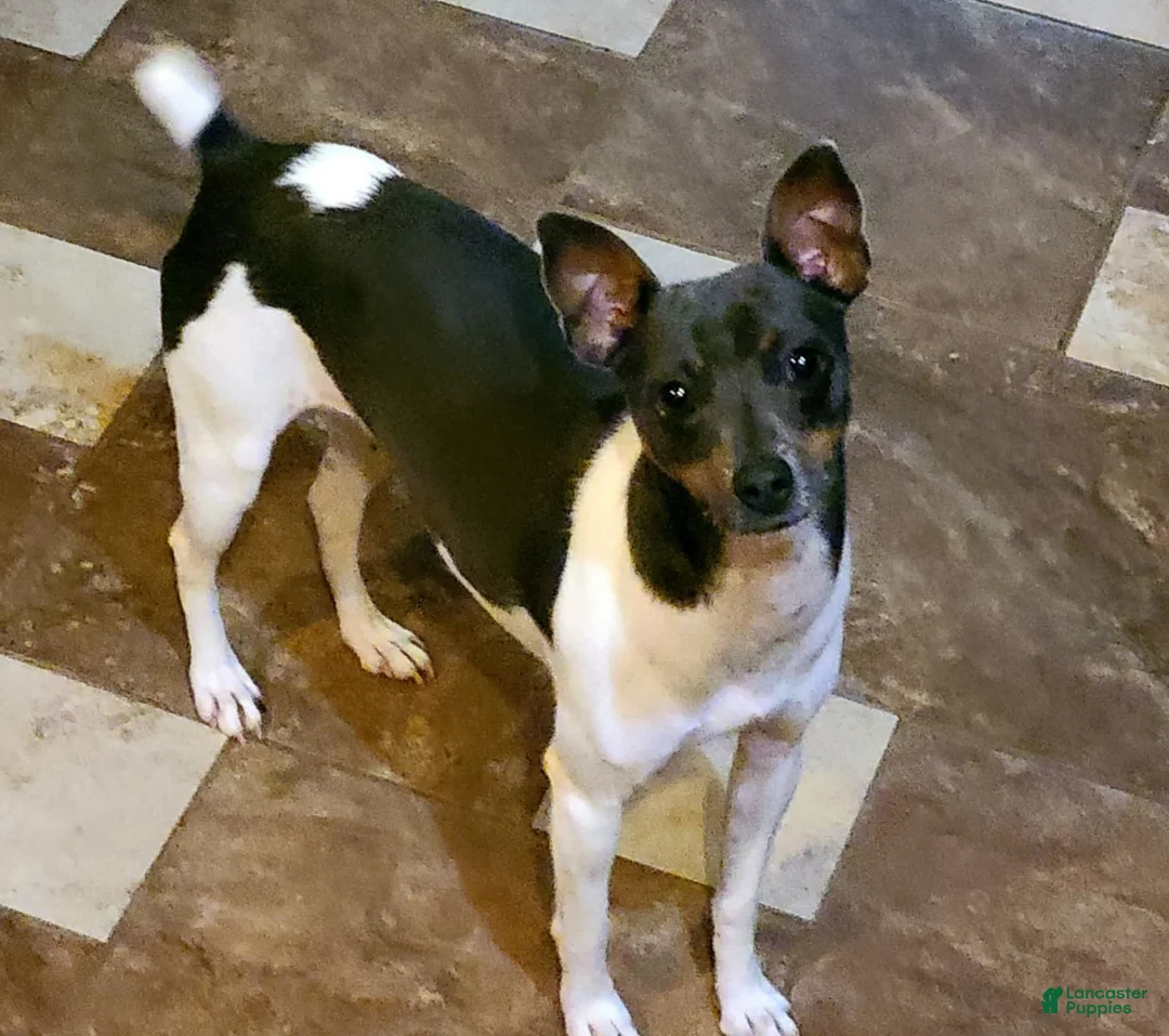 Gallery Image {{count}}