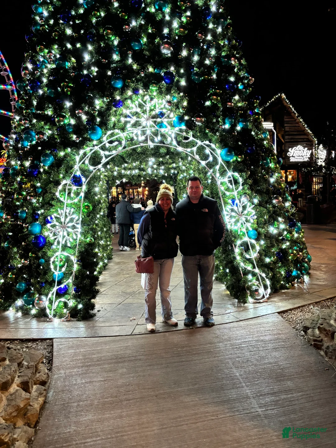 Gallery Image {{count}}