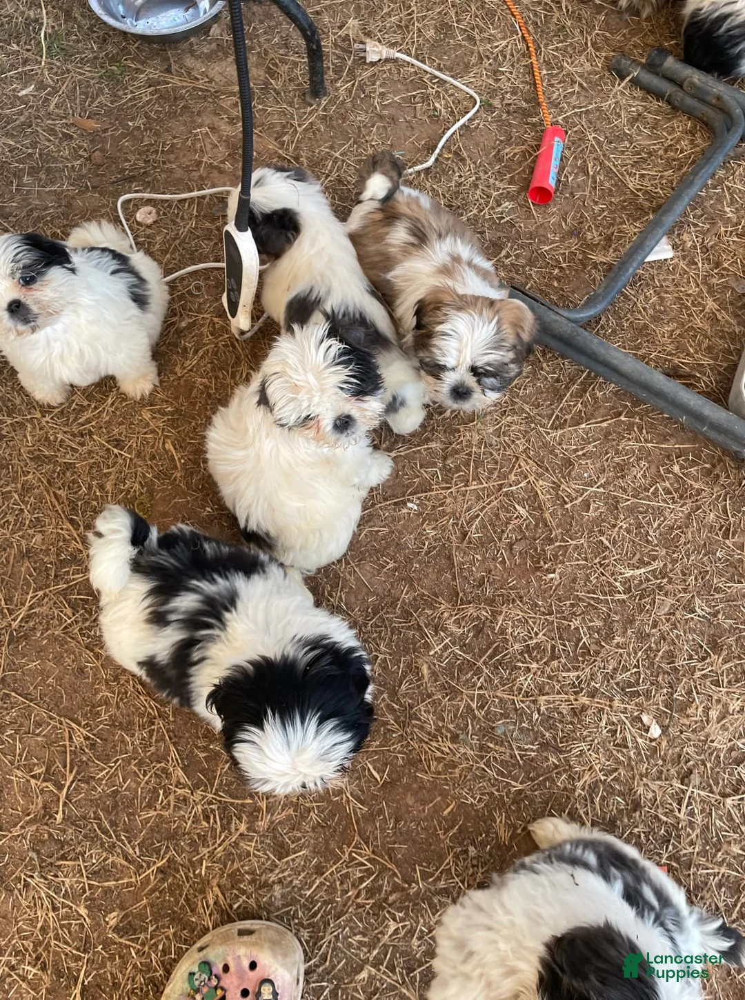 Gallery Image {{count}}