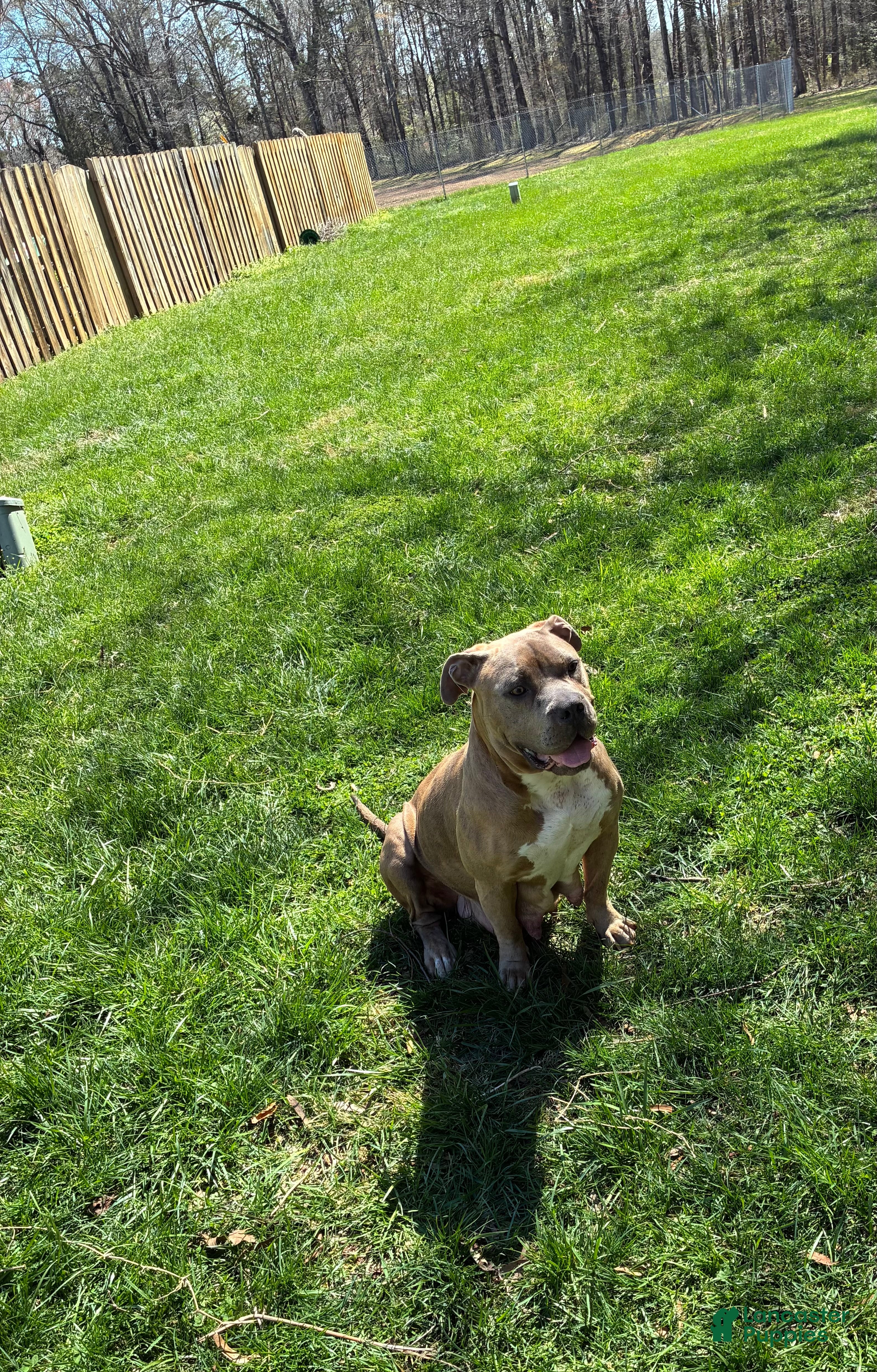 Nina