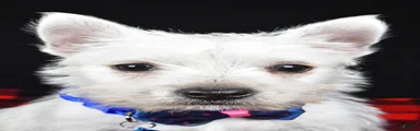 Thomas