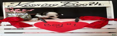 Boston Terrier Puppy 1