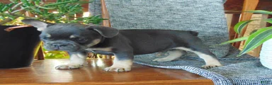 Ben