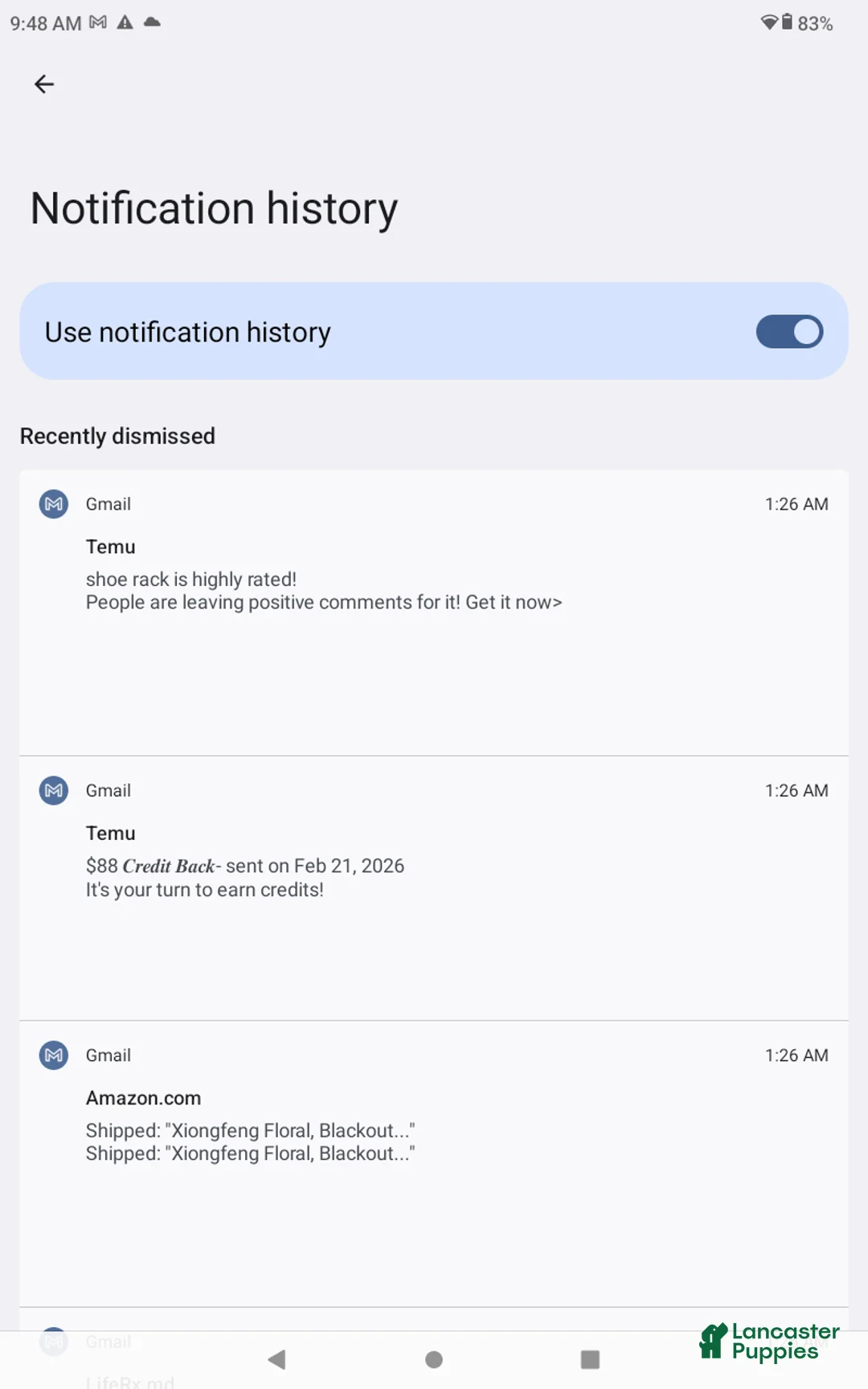 Frug dogs for sale: Frug Puppy 6 - Ad 6