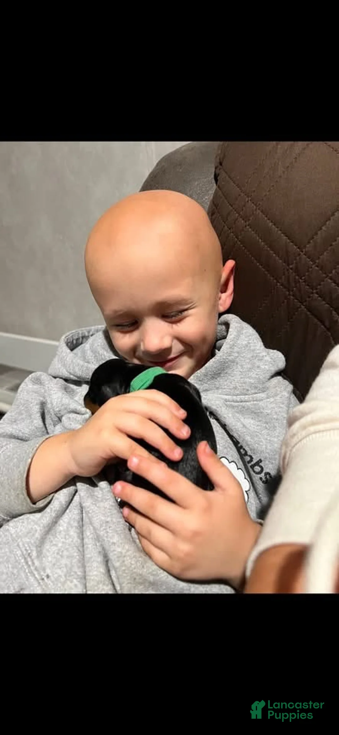 Gallery Image {{count}}