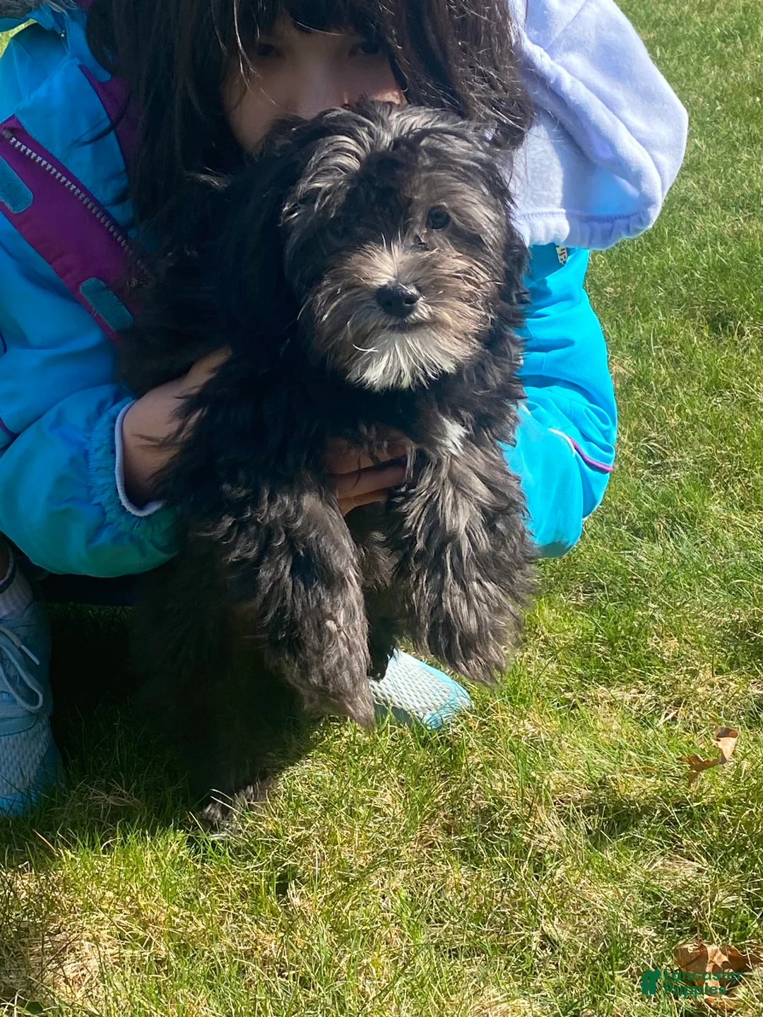 Gallery Image {{count}}