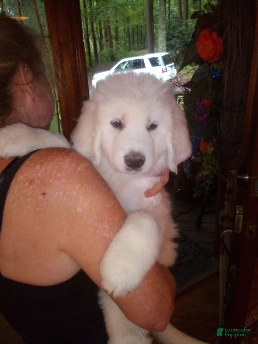 Gallery Image {{count}}