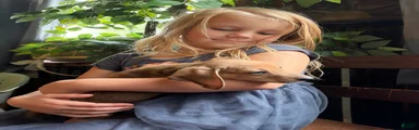 Gullum